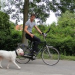 Honden en hardlopers