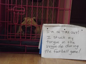 Time out bij een hond