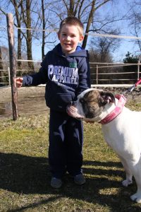 Hond met kind - Aaien onder de kin