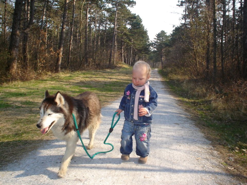 landinwaarts Vergadering tv station Hond en kind - Arvid van Putten - Hondencoach