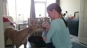 Hond en kind - Helma van Hout