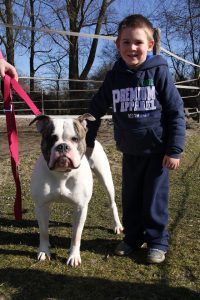 Hond met kind - aaien over de zijkant